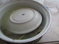 dill pickles, fermented cucumbers