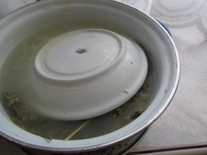 dill pickles, fermented cucumbers