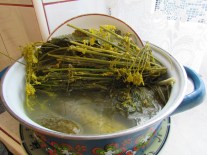 dill pickles, fermented cucumbers