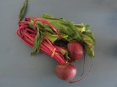 young beets