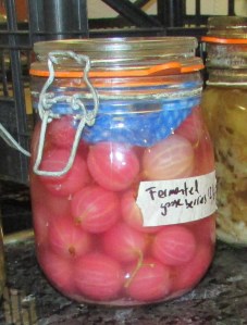 JP McMahon fermented gooseberry