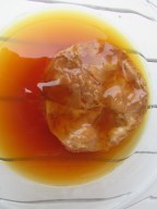 kombucha scoby