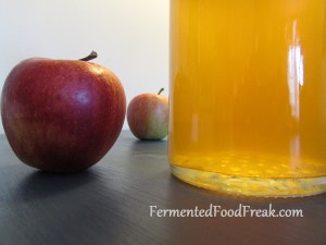 apple_cider_ vinegar1