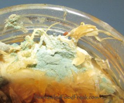 Mold on sauerkraut1