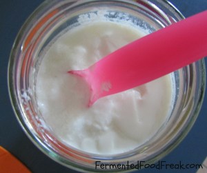 Milk kefir